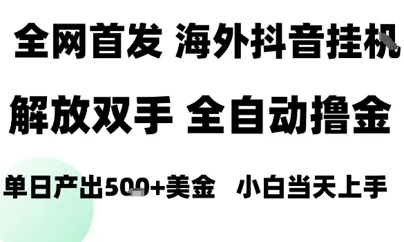 海外抖音无人直播，单日产出1.5k+，长期稳定，新手可玩，无脑操作【揭秘】 - 项目资源网