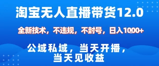 淘宝无人直播12.0，公域私域技术，不封号，不违规布局双十一流量风口，日入1k(独家技术)【揭秘】 - 项目资源网