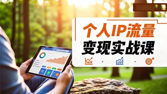 个人IP流量变现实战课，涵盖多平台引流、打造个人IP并实现稳定流量变现 - 项目资源网