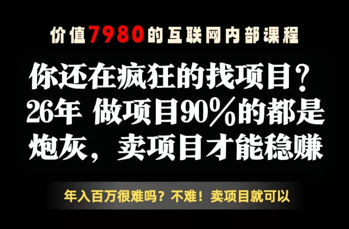 26年请不要疯狂的找项目了，卖项目远比你想象的暴利，你也可以月入10W+【揭秘】 - 项目资源网