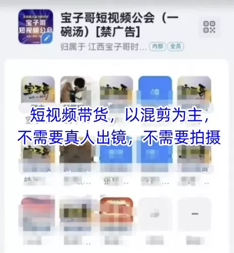 宝子哥头部团队短视频带货，以混剪为主，不需要真人出镜，不需要拍摄【更新12月】 - 项目资源网