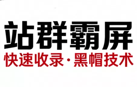 SEO野路子实战全集：快速收录、站群霸屏、黑帽技术(更新) - 项目资源网